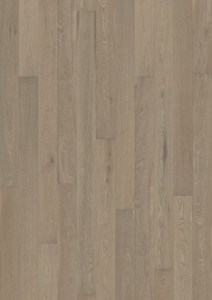 Oak Chalk